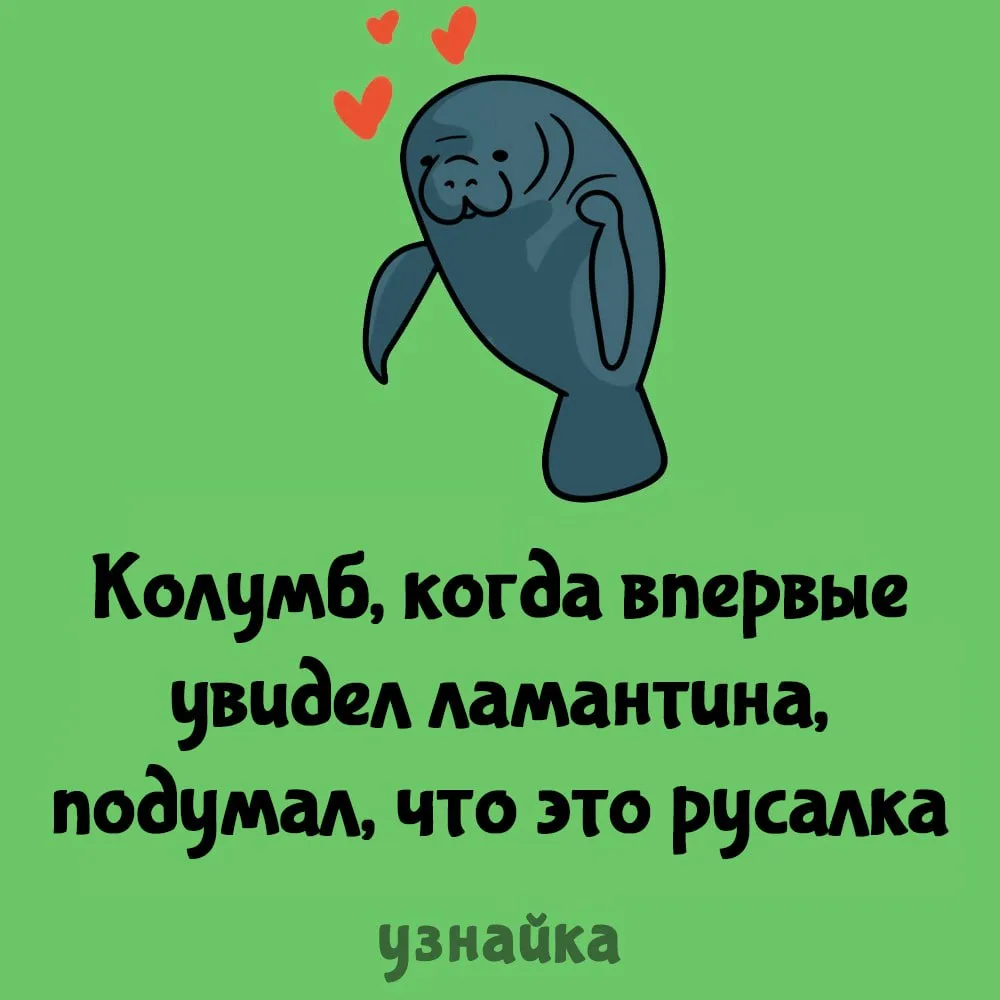А что? похоже ведь😎