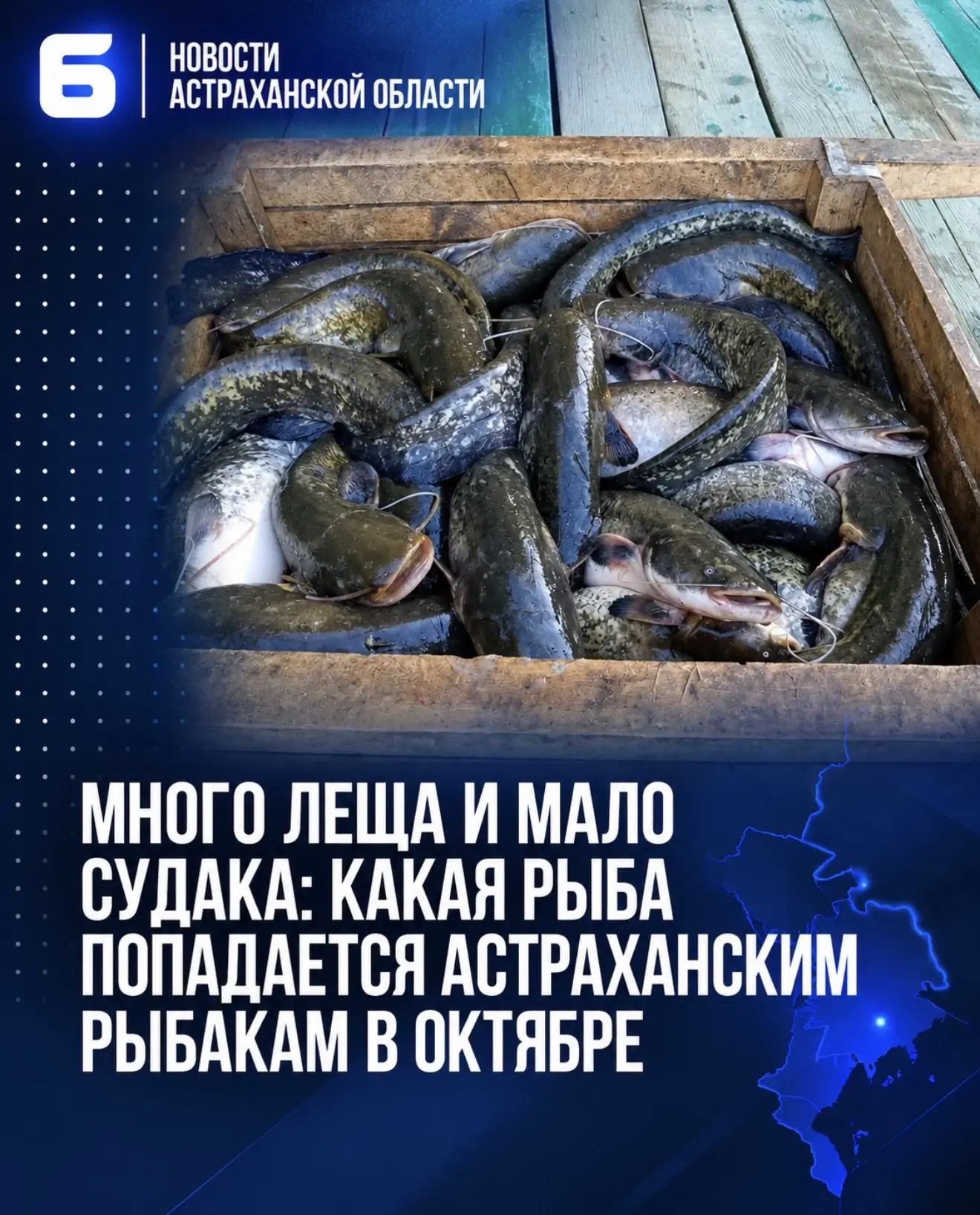 Много леща и мало судака: какая рыба попадается астраханским рыбакам в октябре
