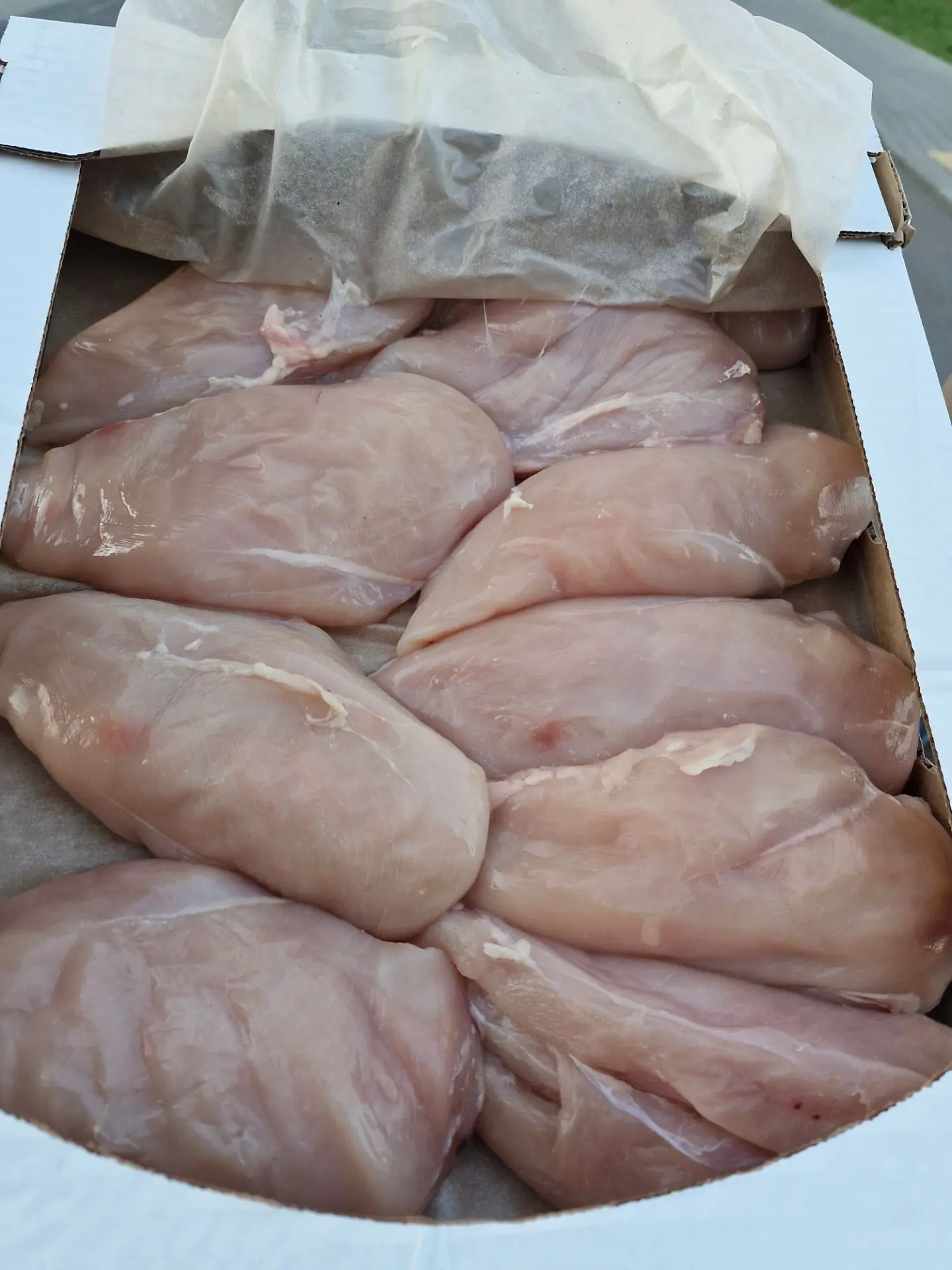 🐔🐔🐔🐔🐔🐔🐔🐔🐔🐔🐔🐔