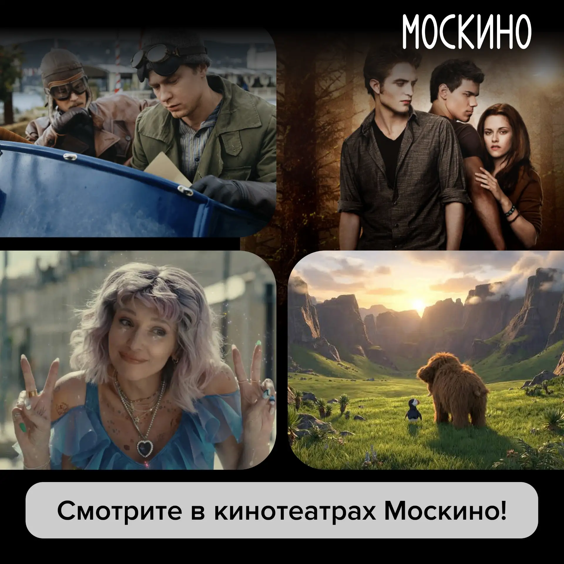🎬 Не будем расстраивать Беллу – идём в кино!