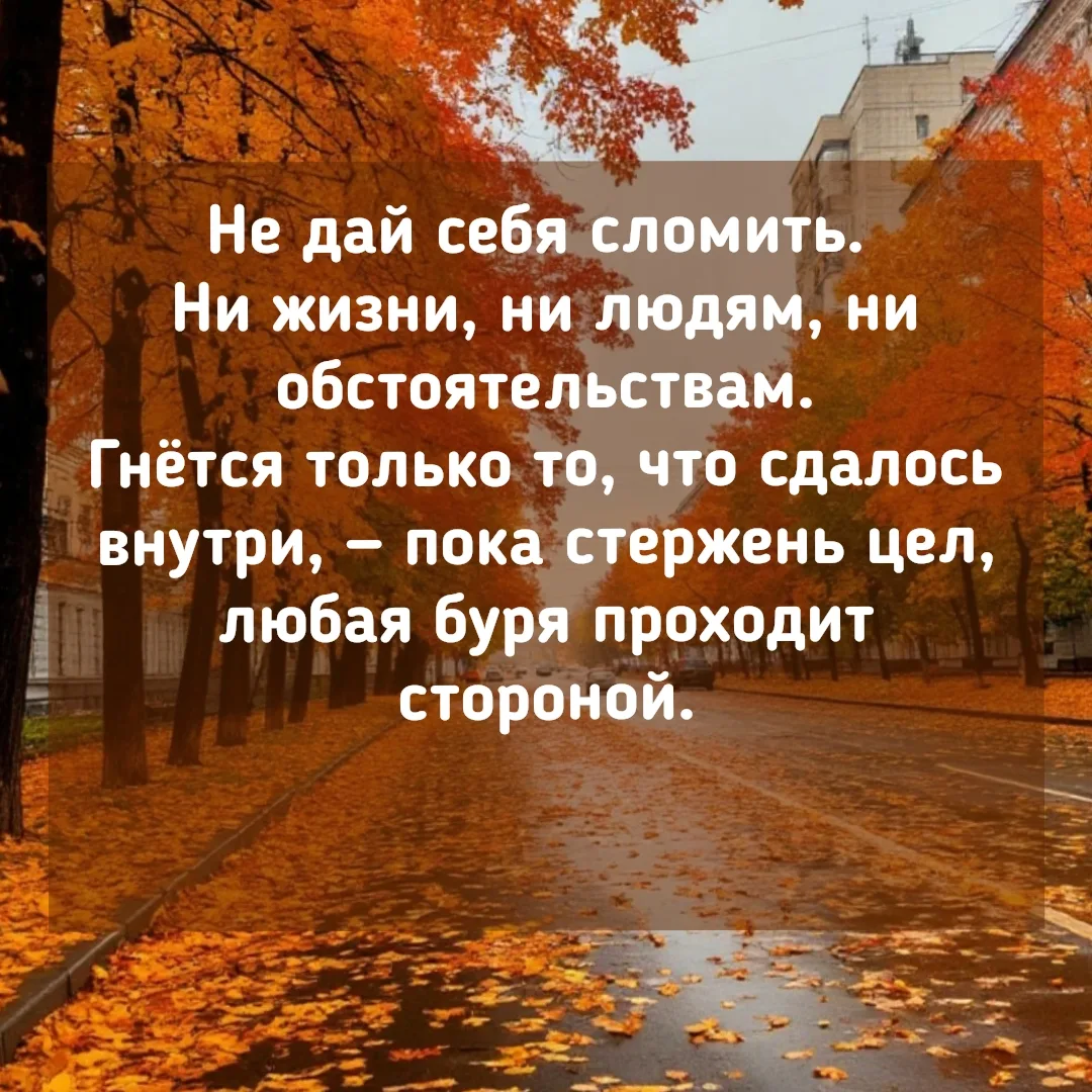 Доброго времени дорогие! И снова пятница 😳