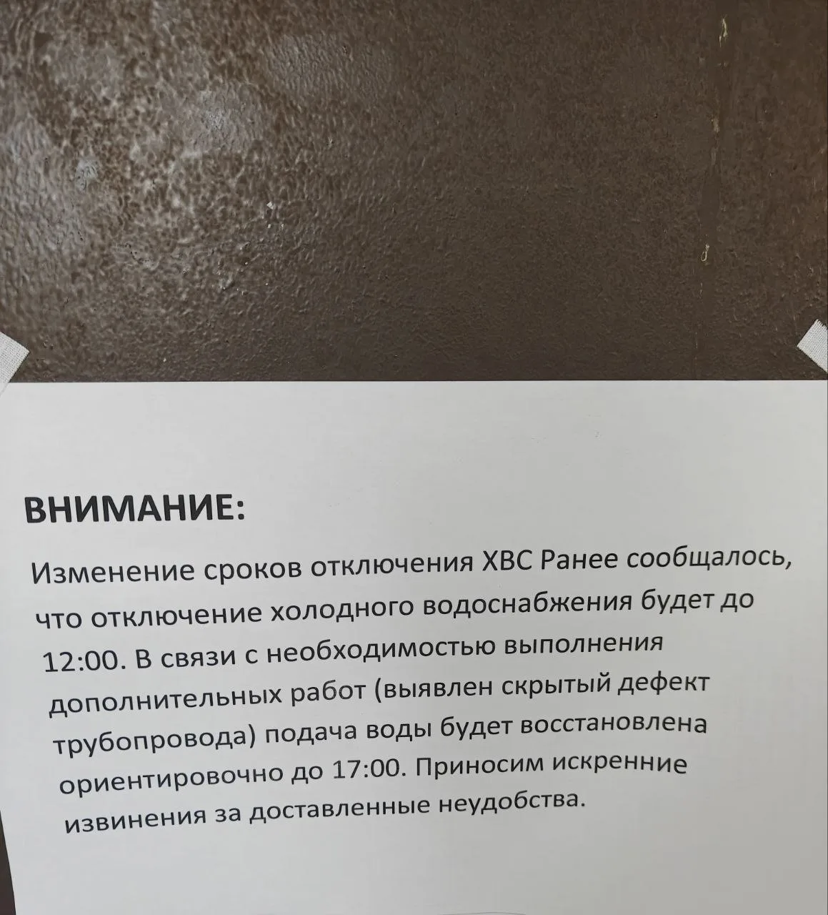 🗣️От подписчика: