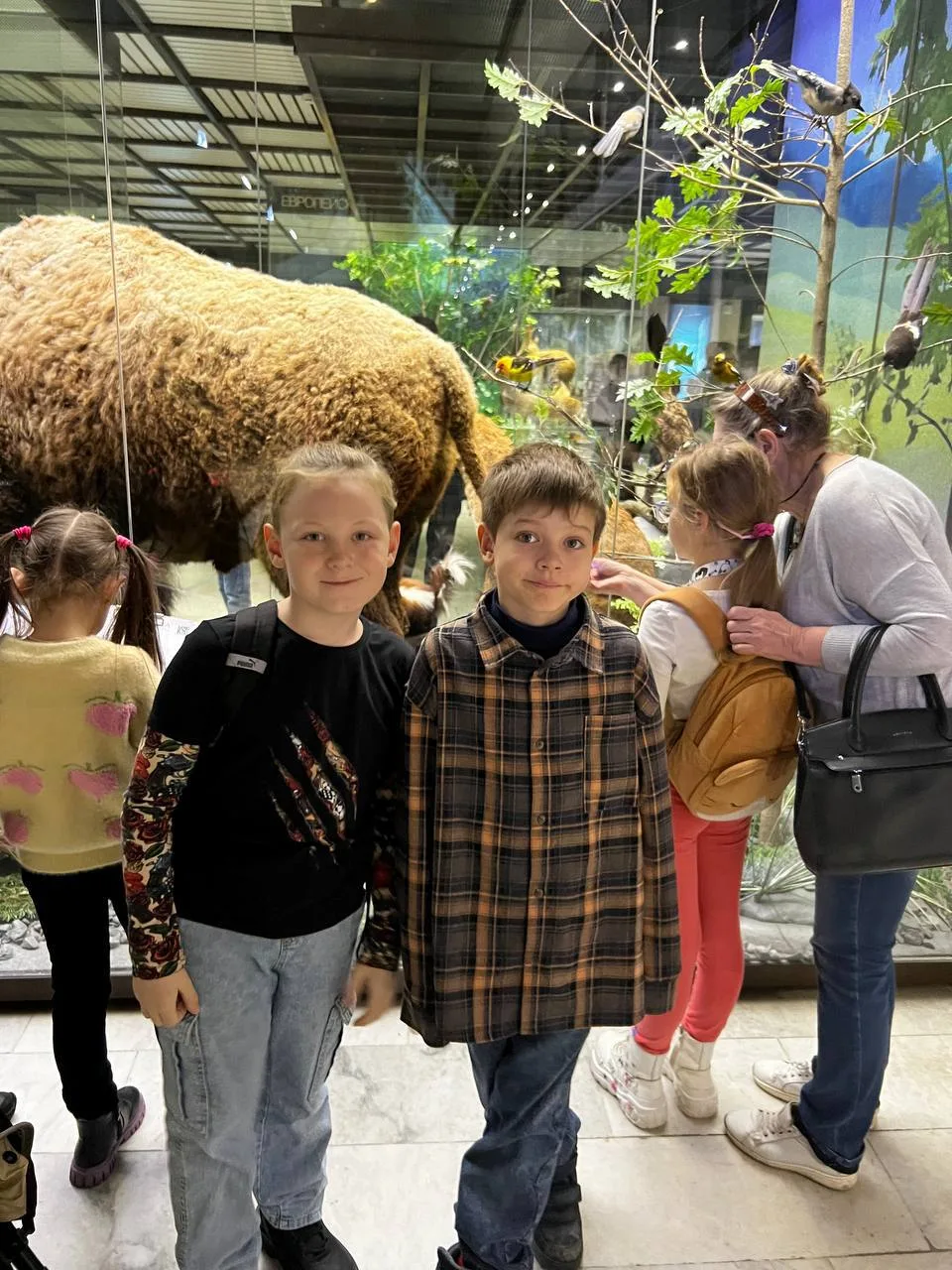 🐘Дарвиновский музей для дошкольников: чем заняться
