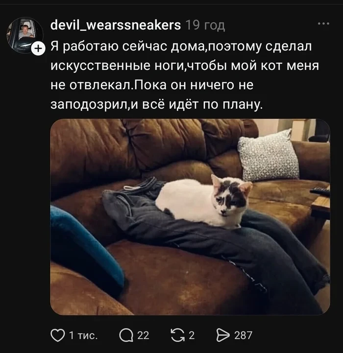 Но уже начинает что-то подозревать