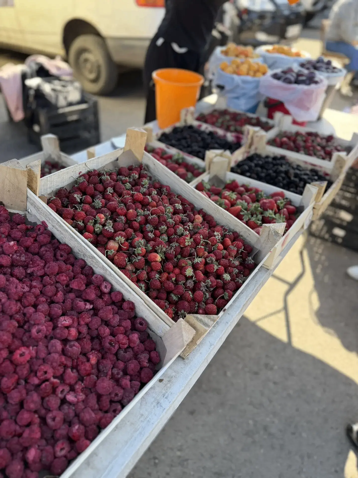 🍓 🍒 🍓 🍒 🍓 🍒