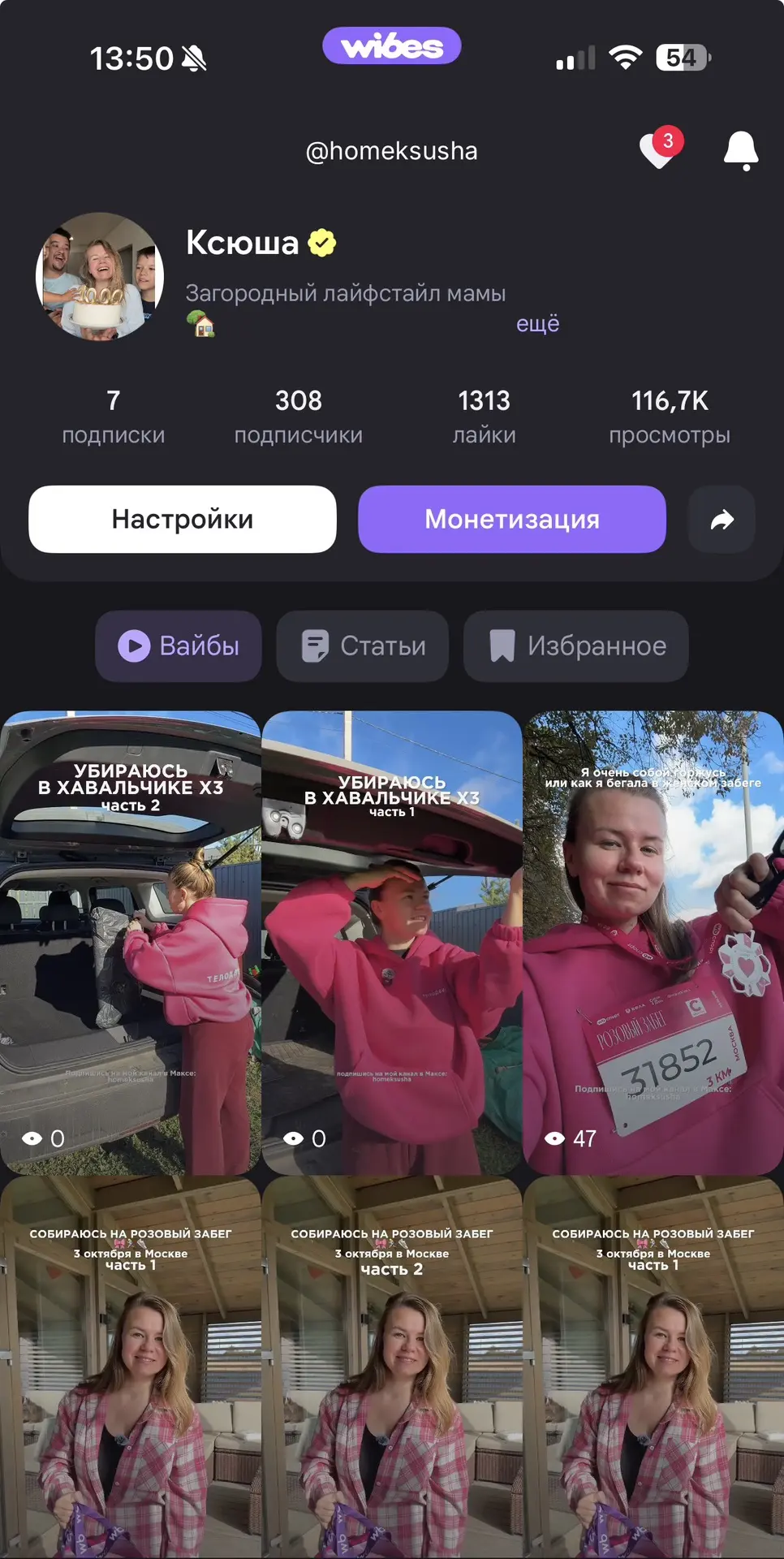 Мой аккаунт в Wibes, подписчиков совсем не много