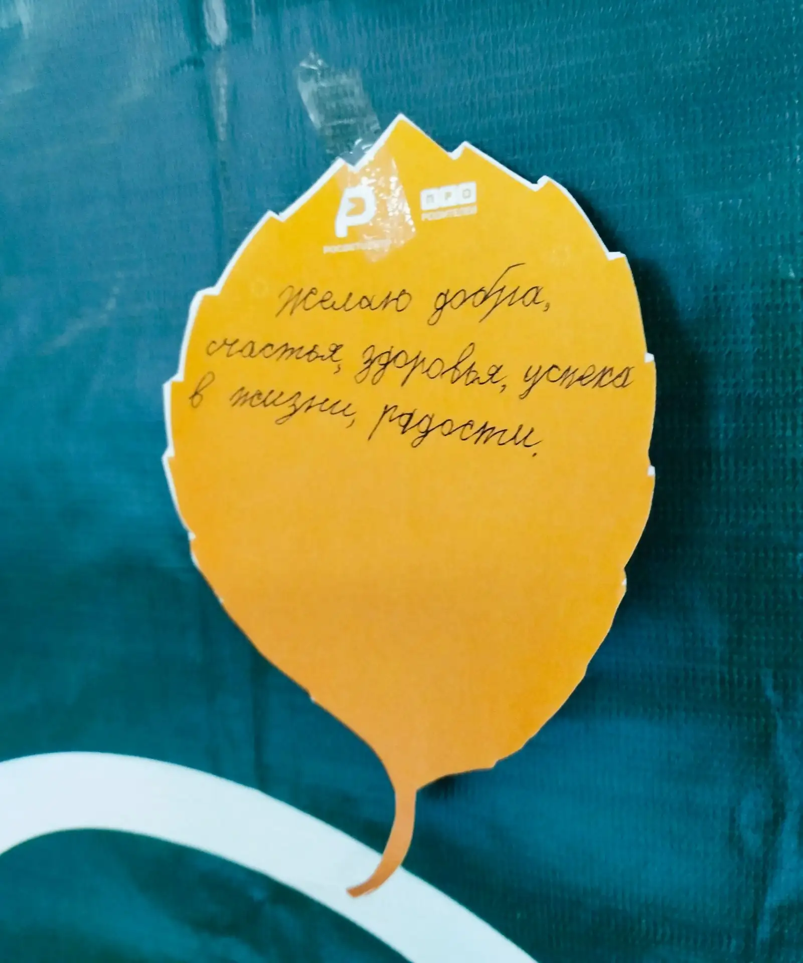 💐 БУКЕТ ДОБРЫХ СЛОВ💐