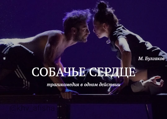 Спектакль «Собачье сердце» 🎭