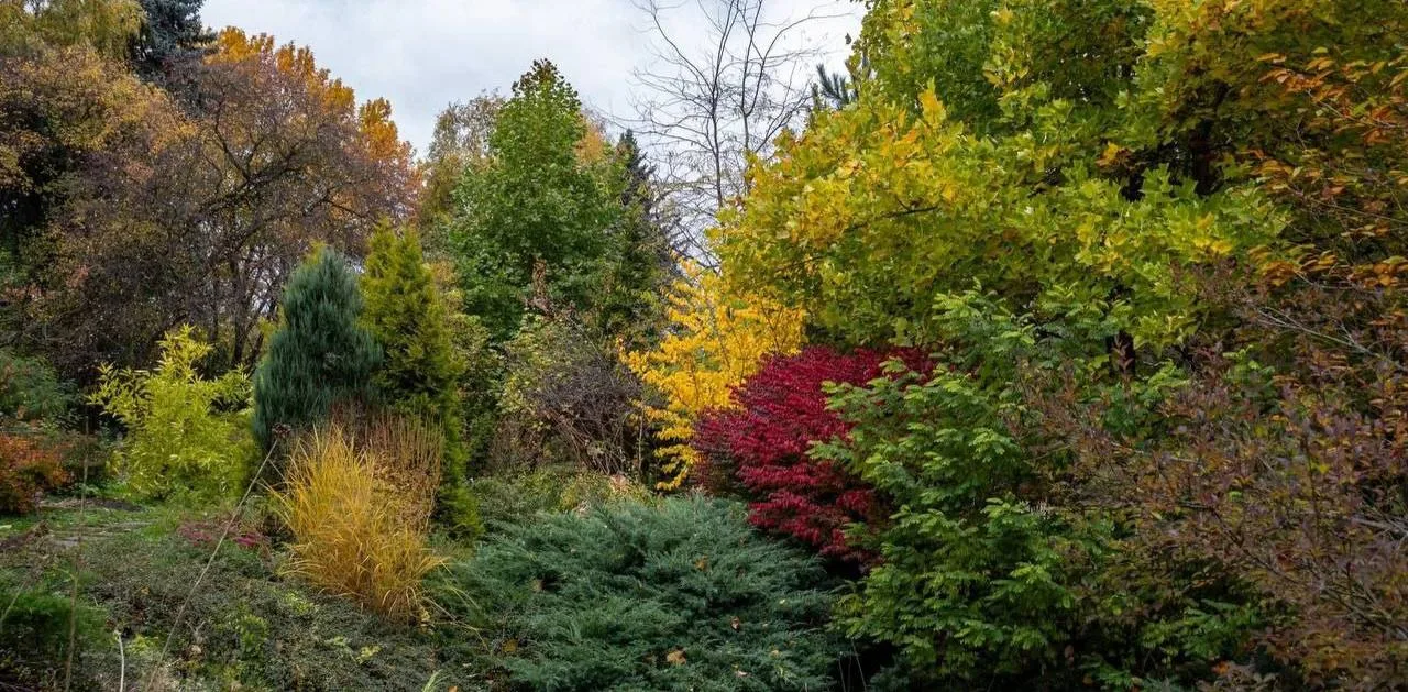🍂 Ботсад МГУ осеннеет