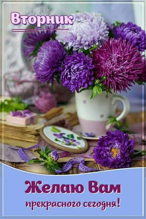 🎉Подписаться на Привет
