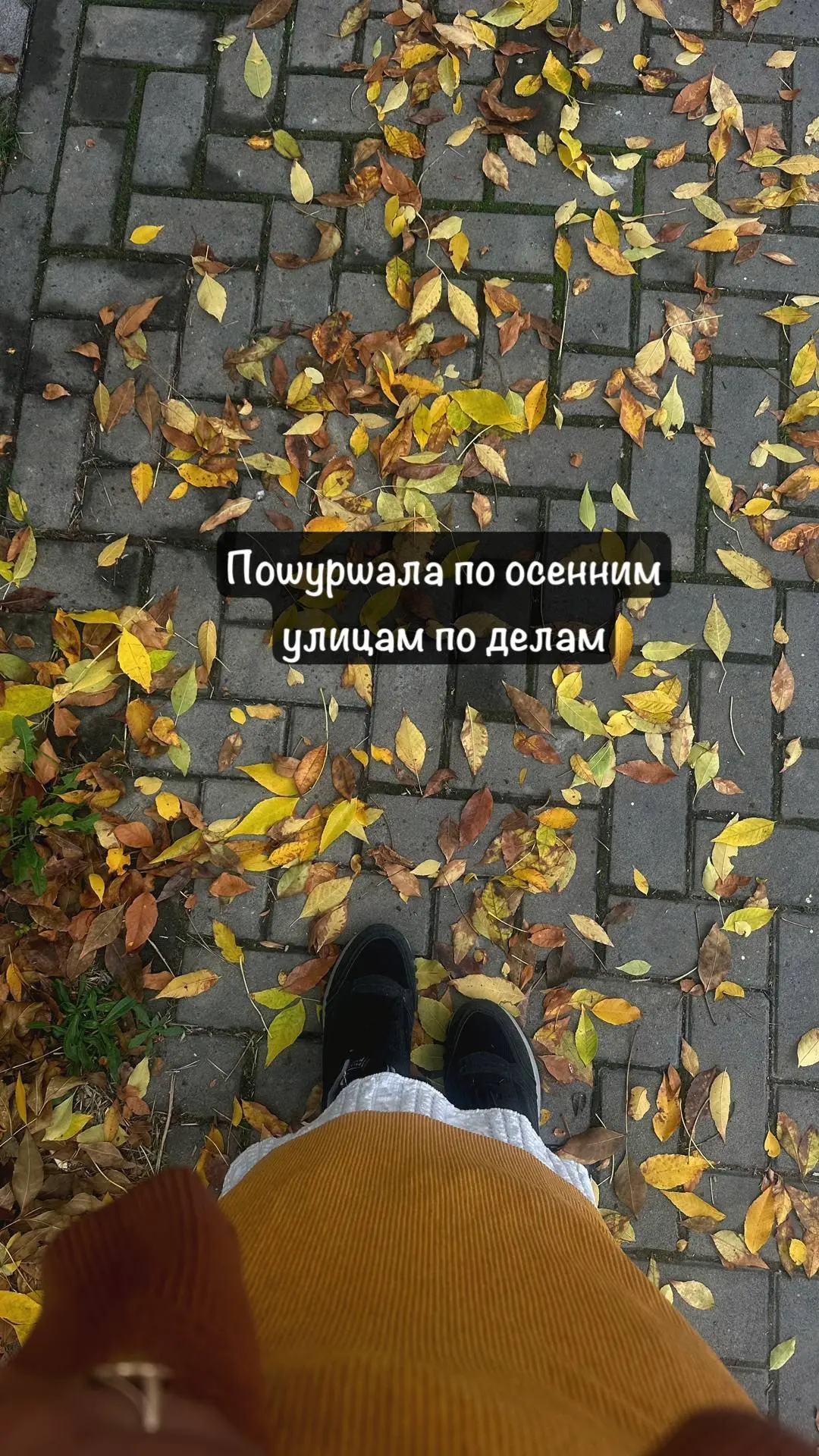 Села в корабль, и вот я уже вся в розах брожу по роскошной набережной)) Что за сказка 😍