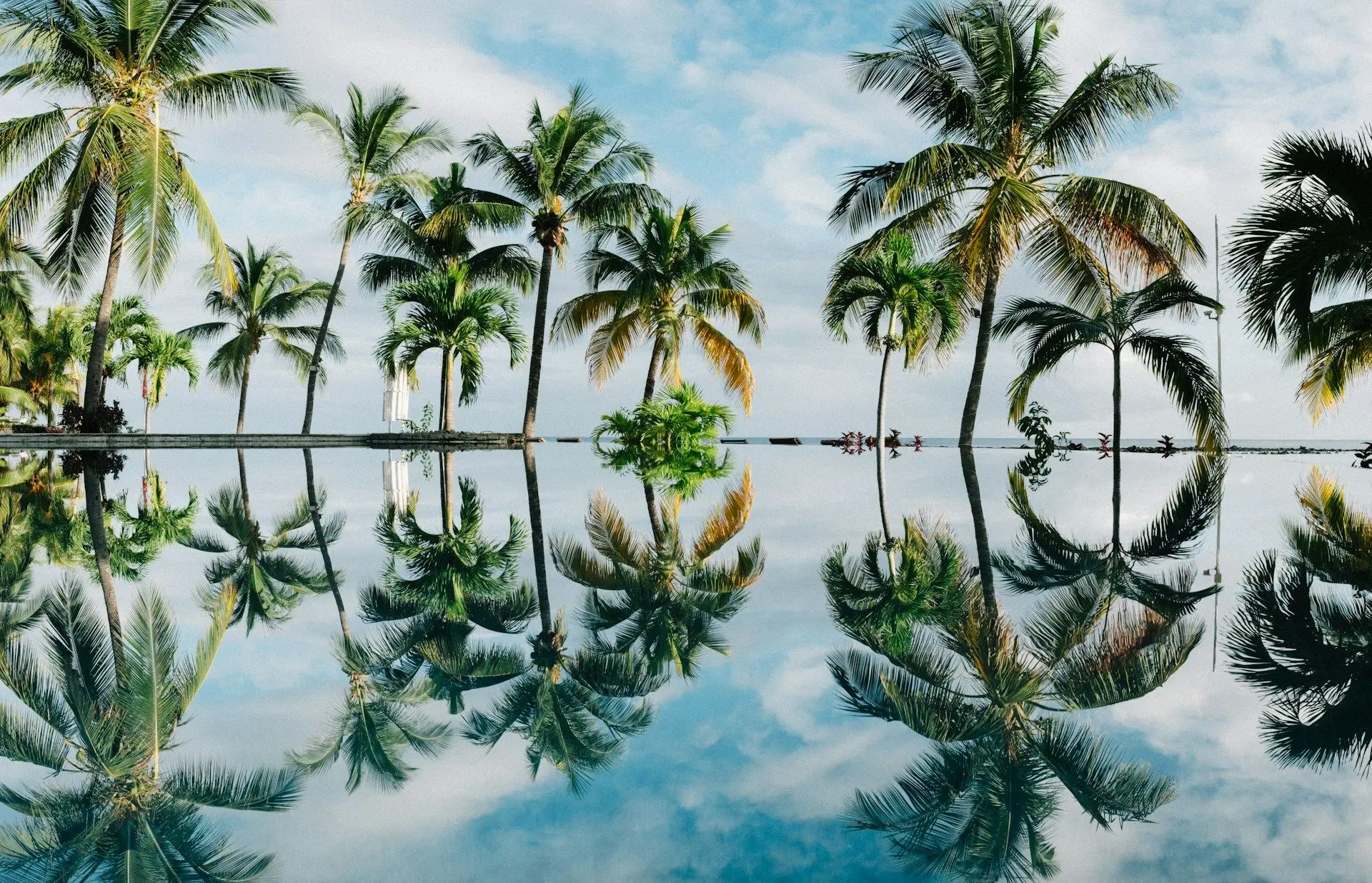 Туры осенью от 55500 рублей! 🏖