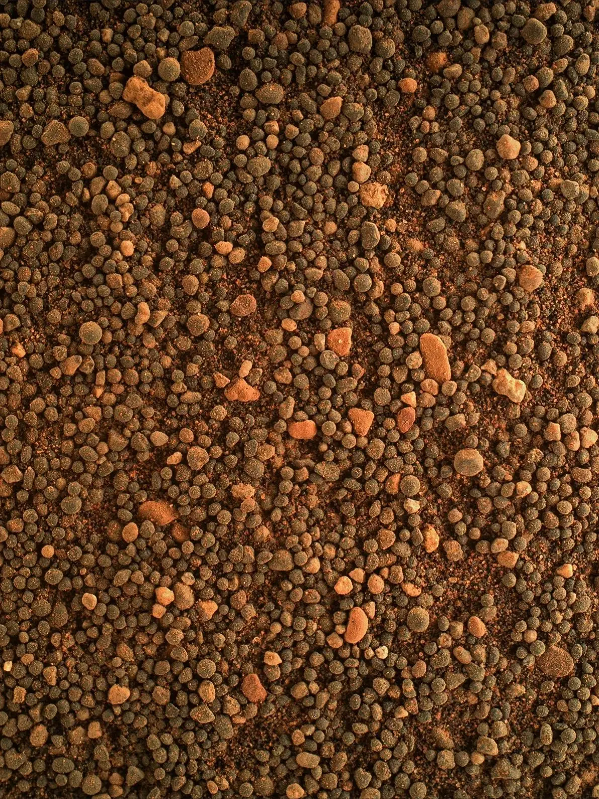 Красные пески Марса крупным планом. Фото марсохода Curiosity 😍