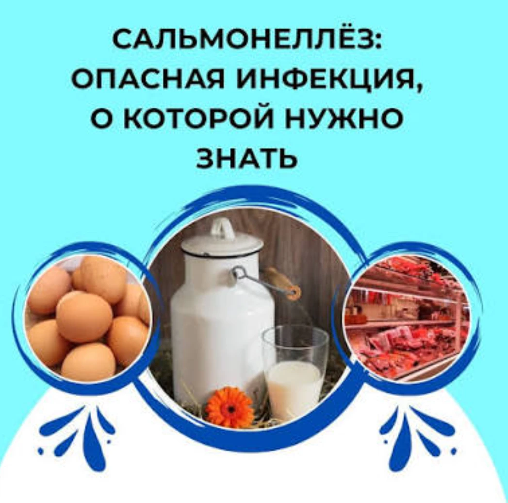 Сальмонеллез является одной из главных причин острых кишечных инфекций бактериальной пр...