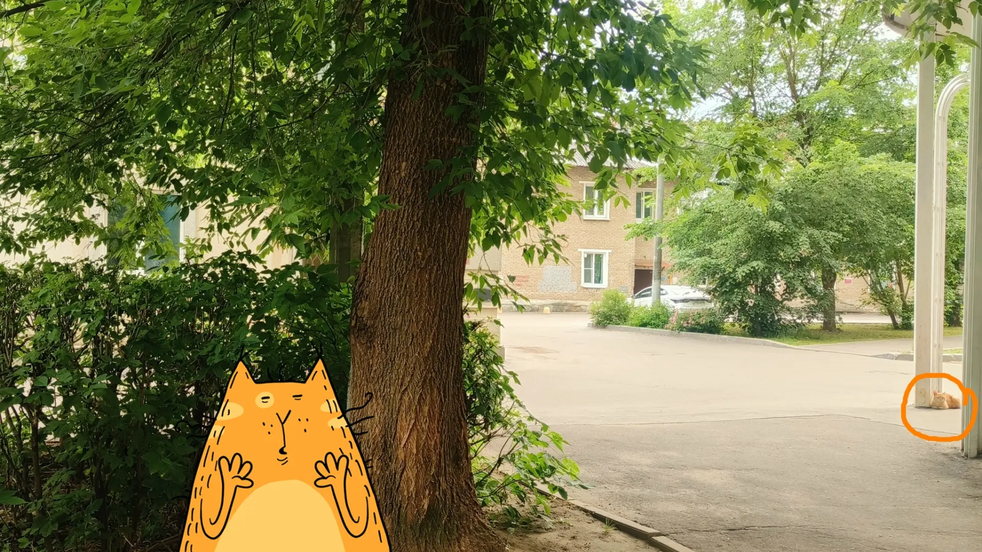Прошлопятничный котик. Лайк, кто нашёл 😻