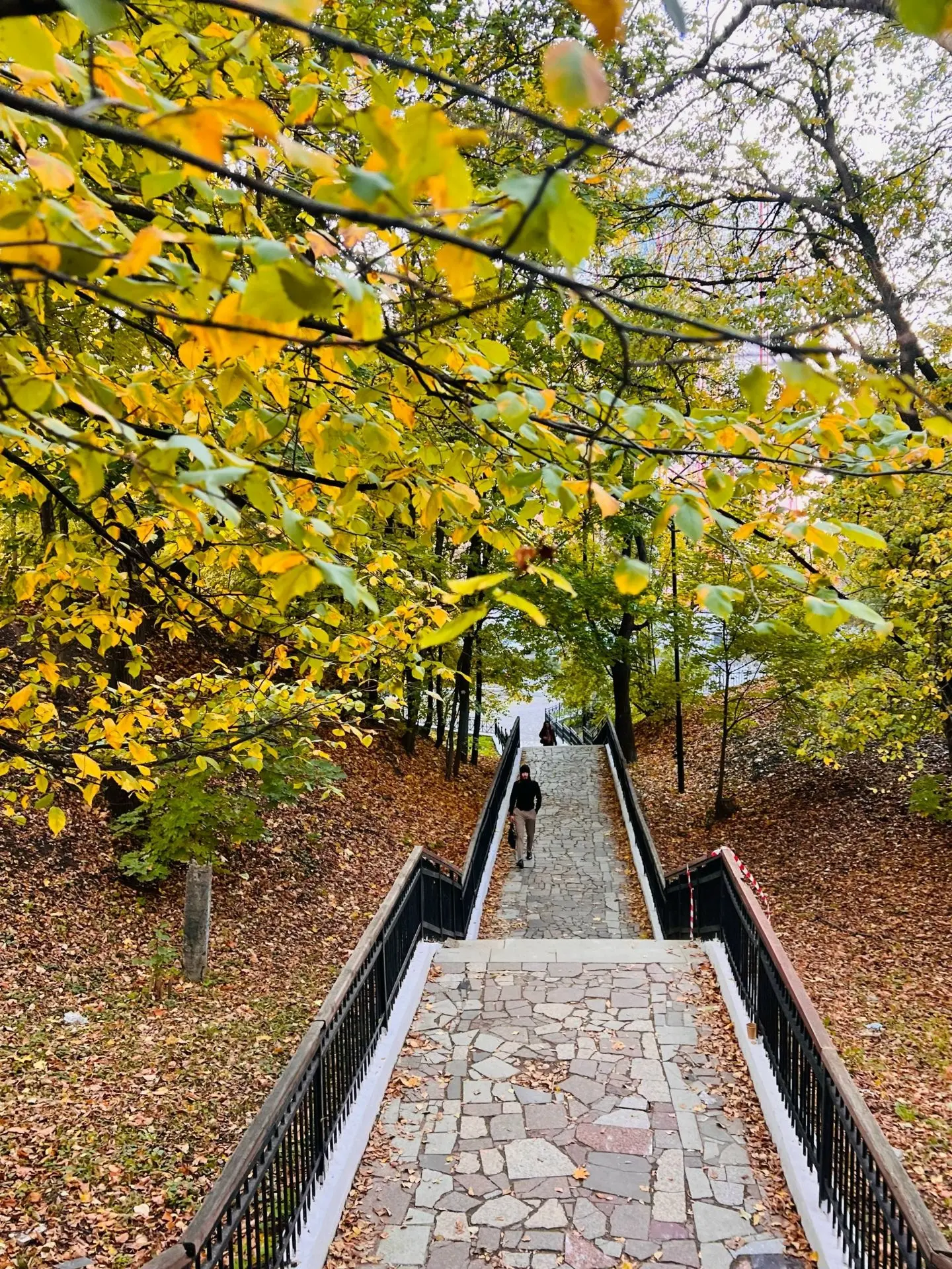 Осенний парк Эрмитаж🍁🍂