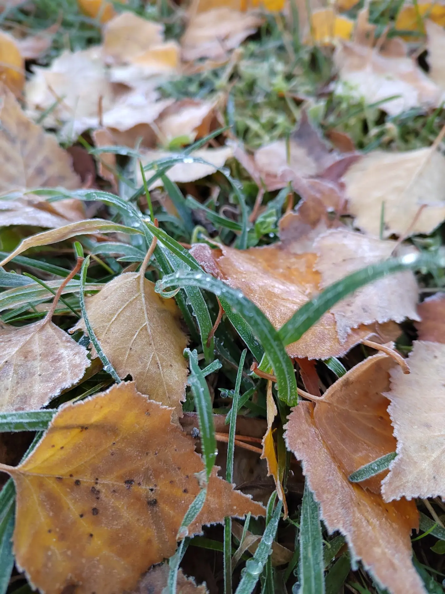 Доброе субботнее утро!🍂