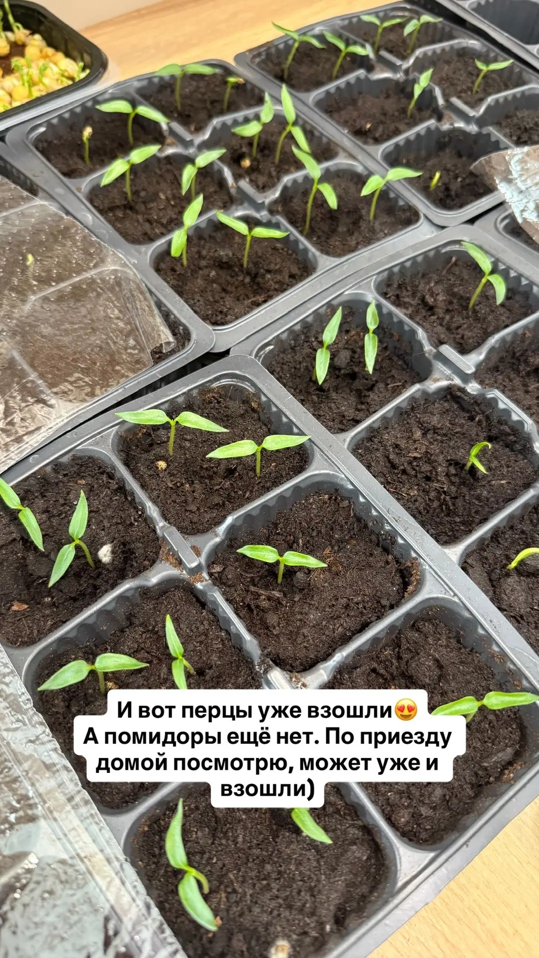 Это заразно, девочки😂