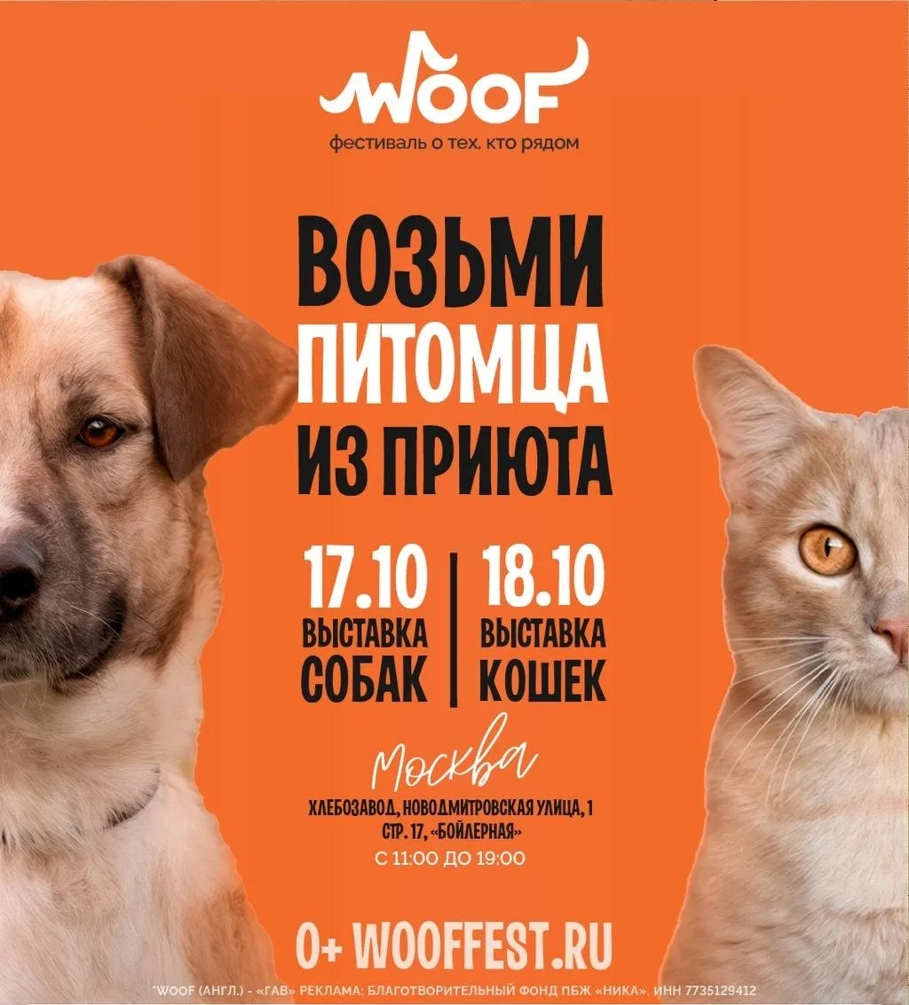 🐾 17–18 октября 11:00–19:00 БОЛЬШОЙ ОСЕННИЙ WOOF FEST В МОСКВЕ