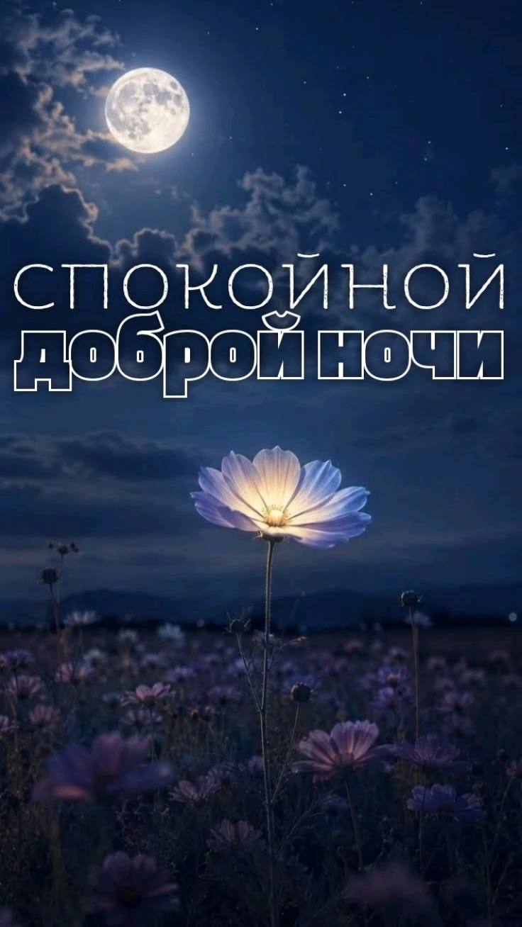 Подпишись 👇