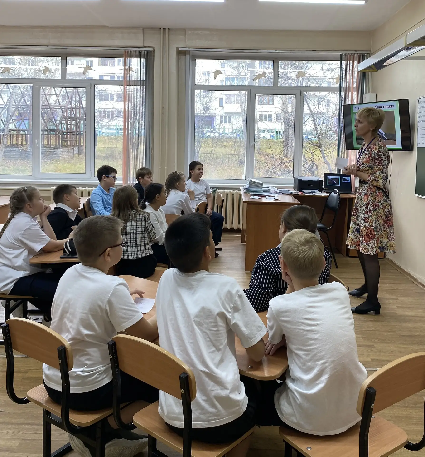 🐧«Удивительные птицы нашей планеты»🦩