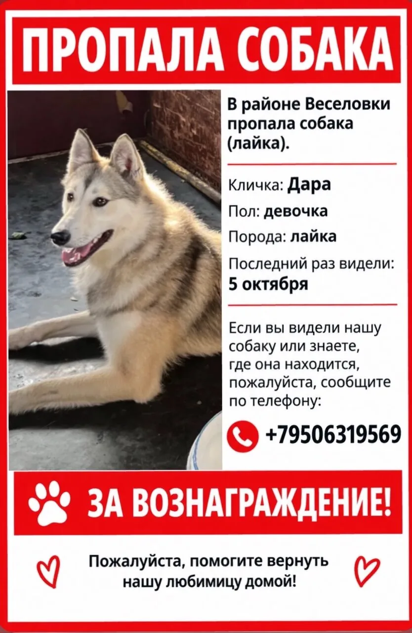 Здравствуйте. Разместите пожалуйста