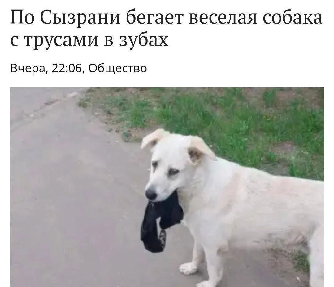 Ну хоть где-то весело