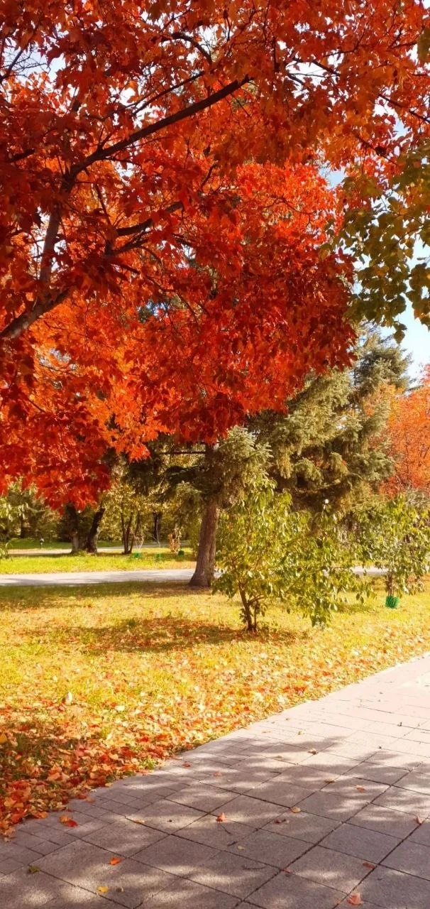 🍁Осенние краски от подписчиков Б1