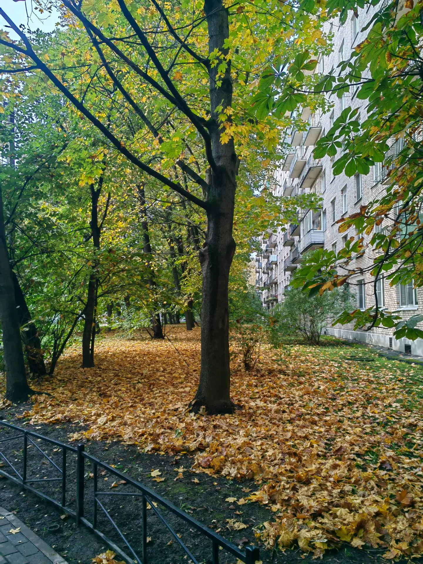 Доброе утро