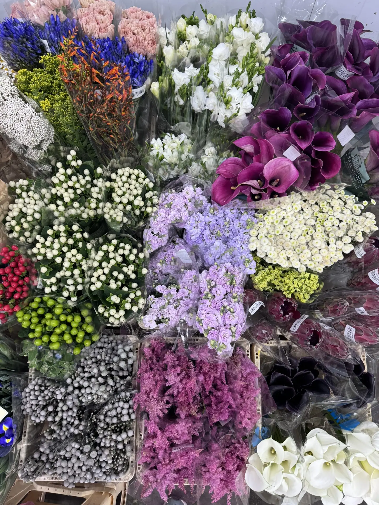 Свободный ассортимент 🌸🌈