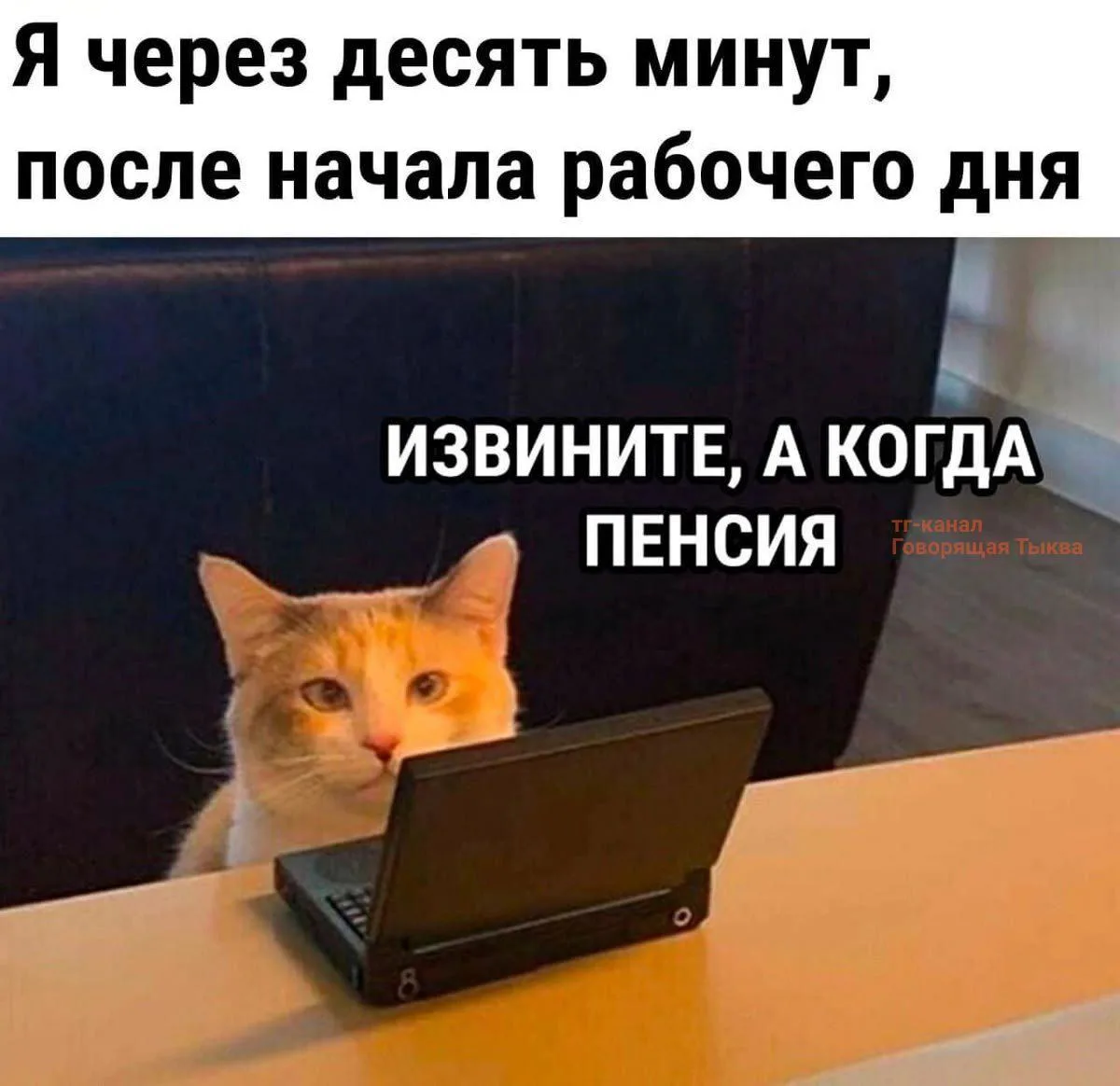 Держимся, уже почти пятница😉 #мемнаночь