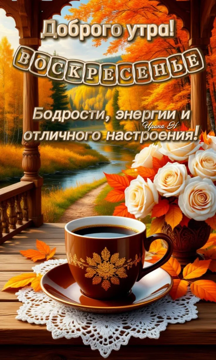 https://max.ru/invista123456