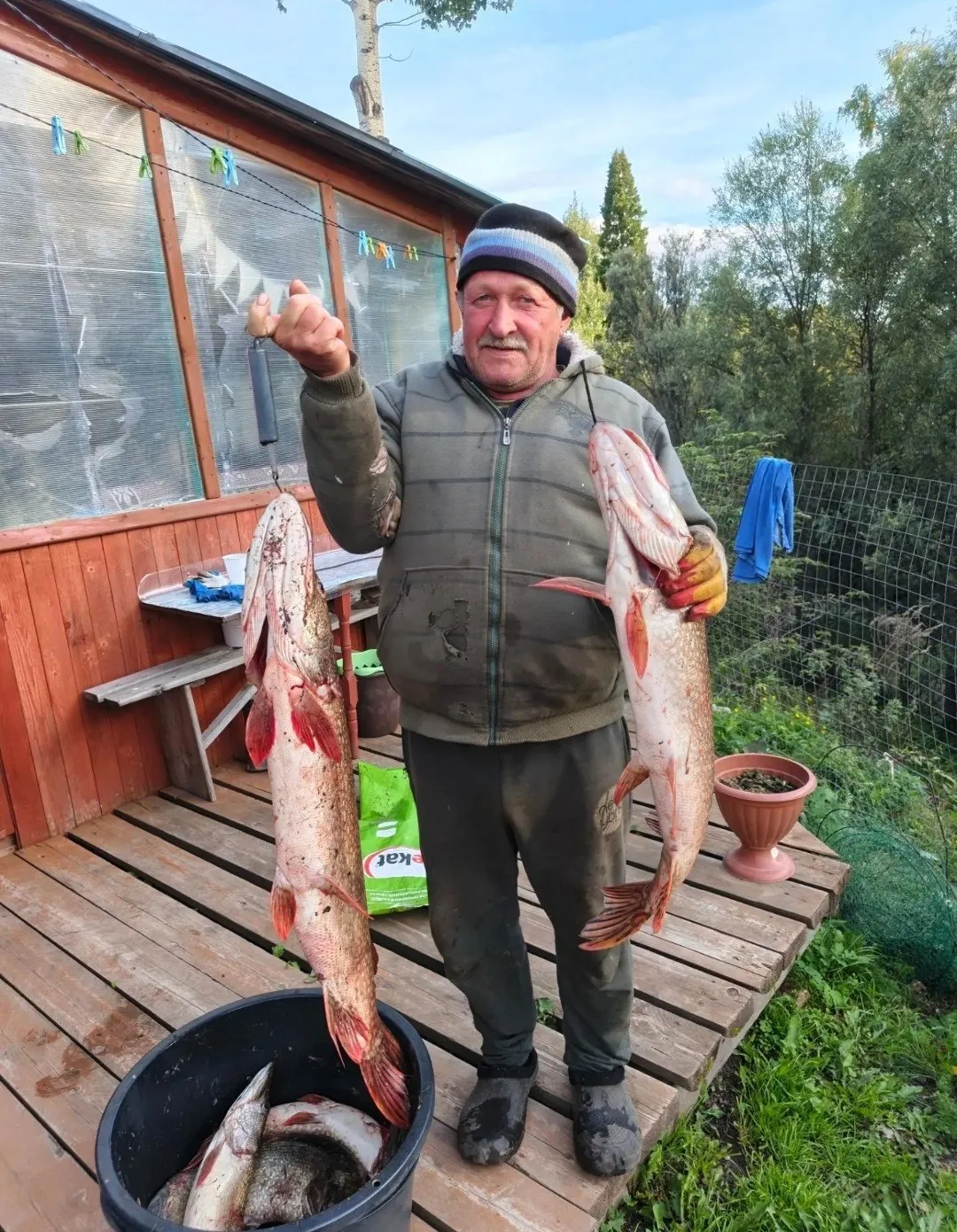 Возраст жизни не помеха