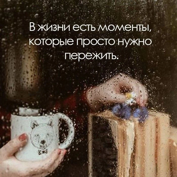 https://max.ru/invista123456