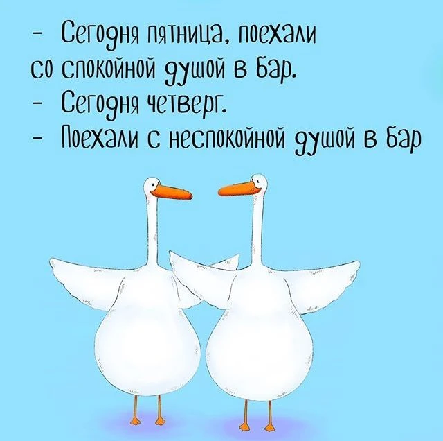 🌀Что общего у выбора BI и похода в бар?