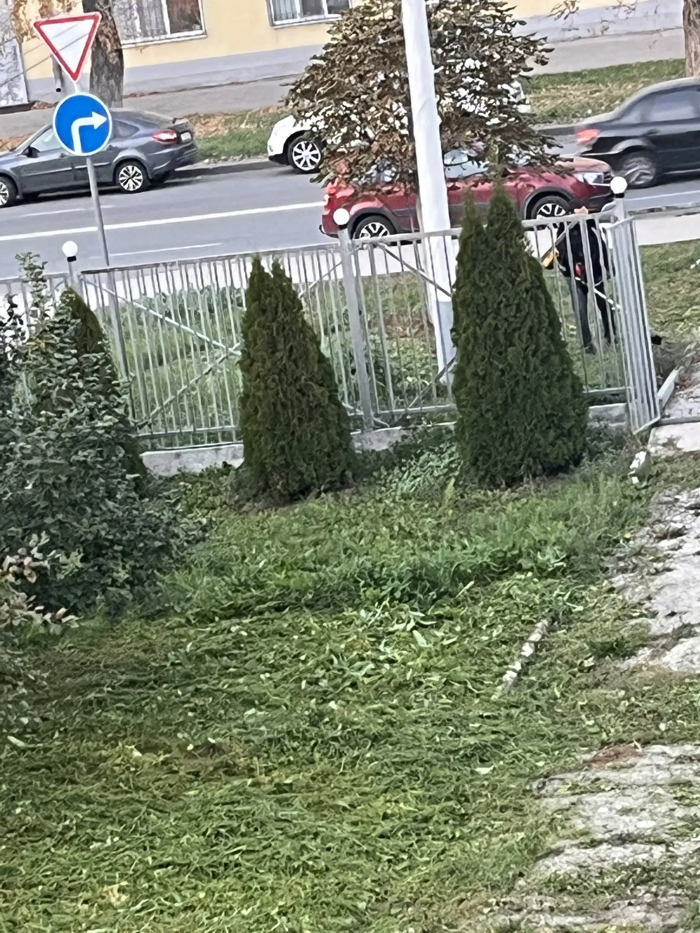 Осень— прекрасная, красивая пора и наша школа не отстаёт-благоустройство территории про...