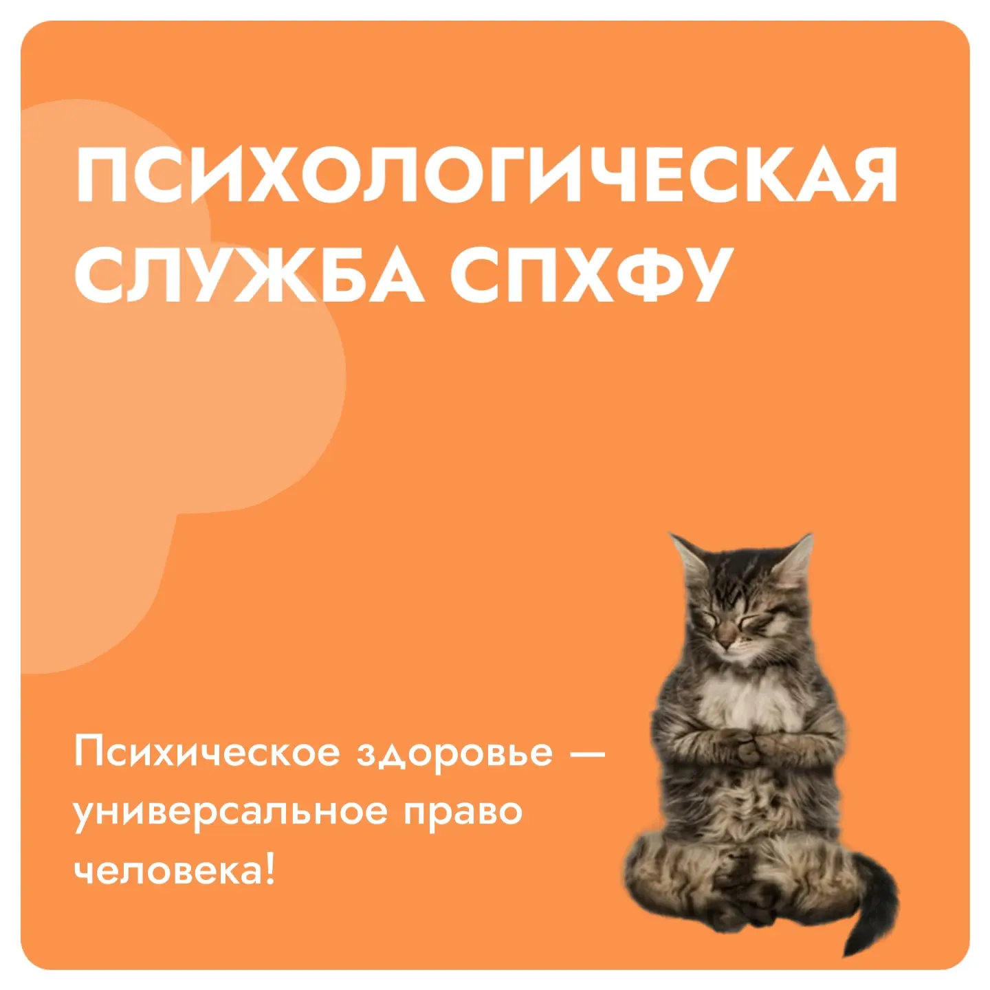 Психологическая служба в СПХФУ | Школа кураторов