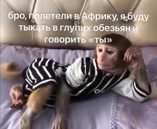 *ты знаешь, кому переслать