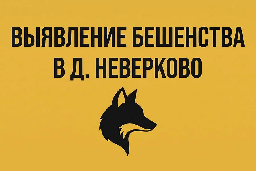 На территории одной из деревень Камешковского округа ввели карантин по бешенству