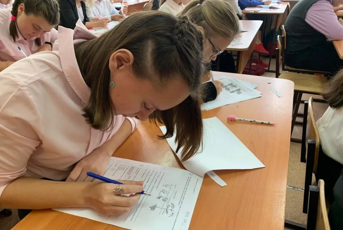 📝 В Госдуме предложили отменить ВПР