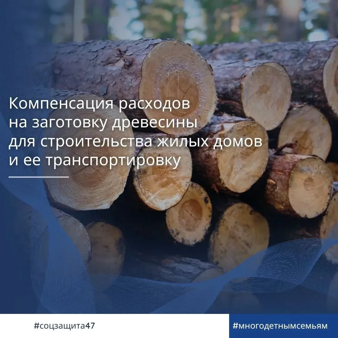 В Ленинградской области многодетные семьи, осуществляющие заготовку древесины для строи...