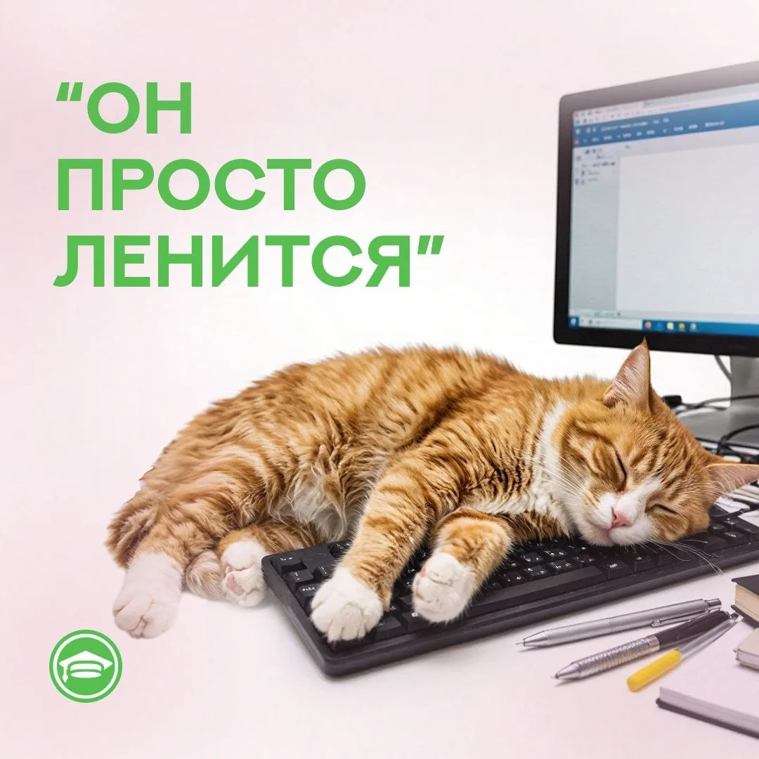 Он просто ленится