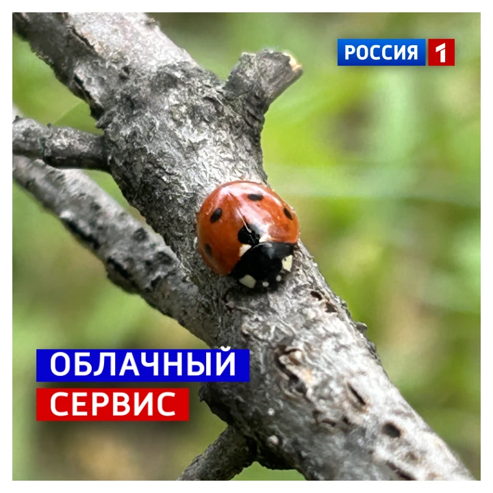 🗓️ 9 октября, пятница
