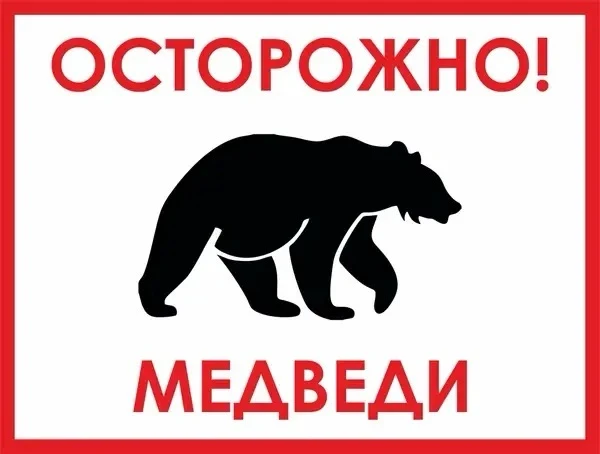 Из‑за того, что медведи всё чаще выходят к людям, а встречи со зверем порой приводят к ...