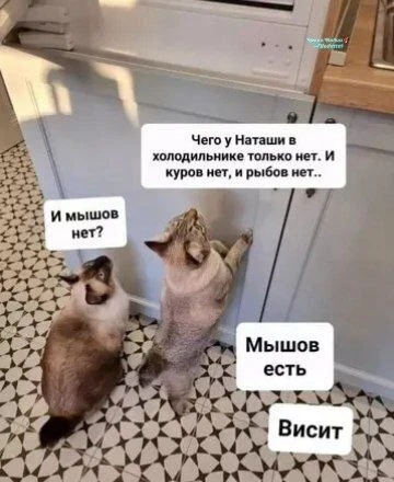 У, бесхозяйственновое😡