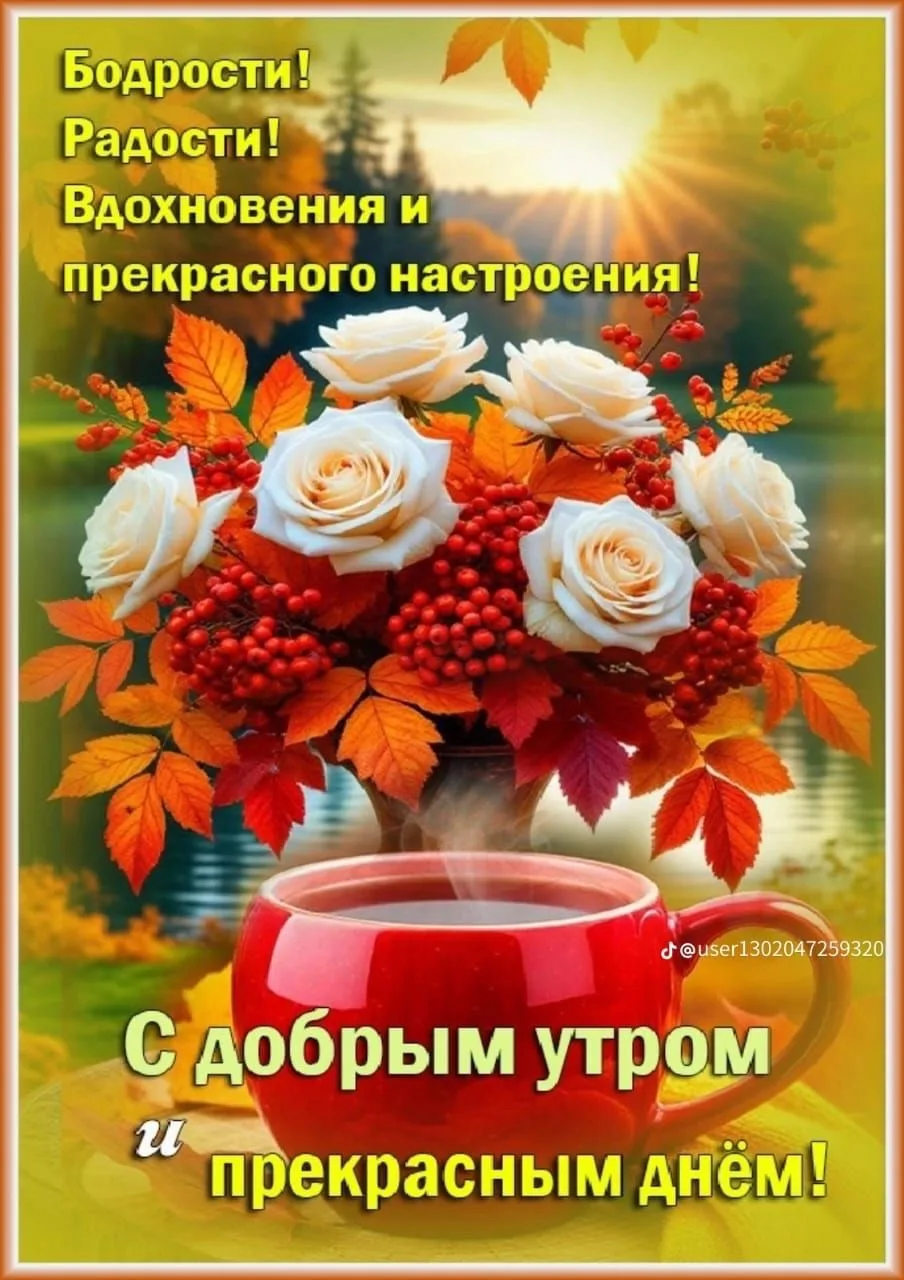 самые лучшие