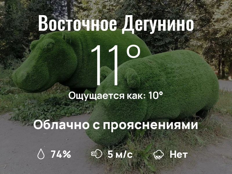 Что с погодой в Восточном Дегунино?