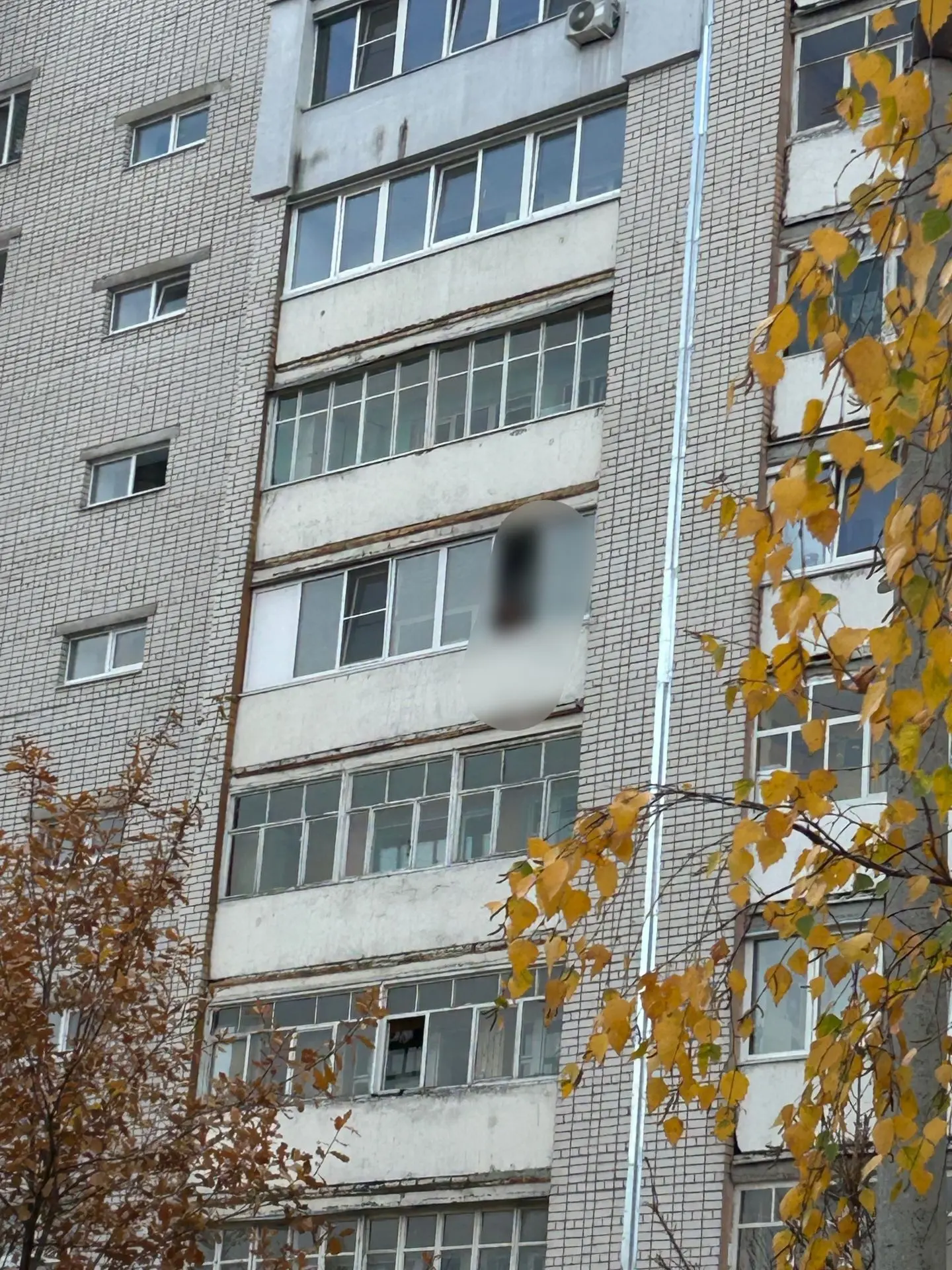 Здравствуйте! Петрищева 18/39. Если узнаете ребенка, пожалуйста, поговорите с ним на те...