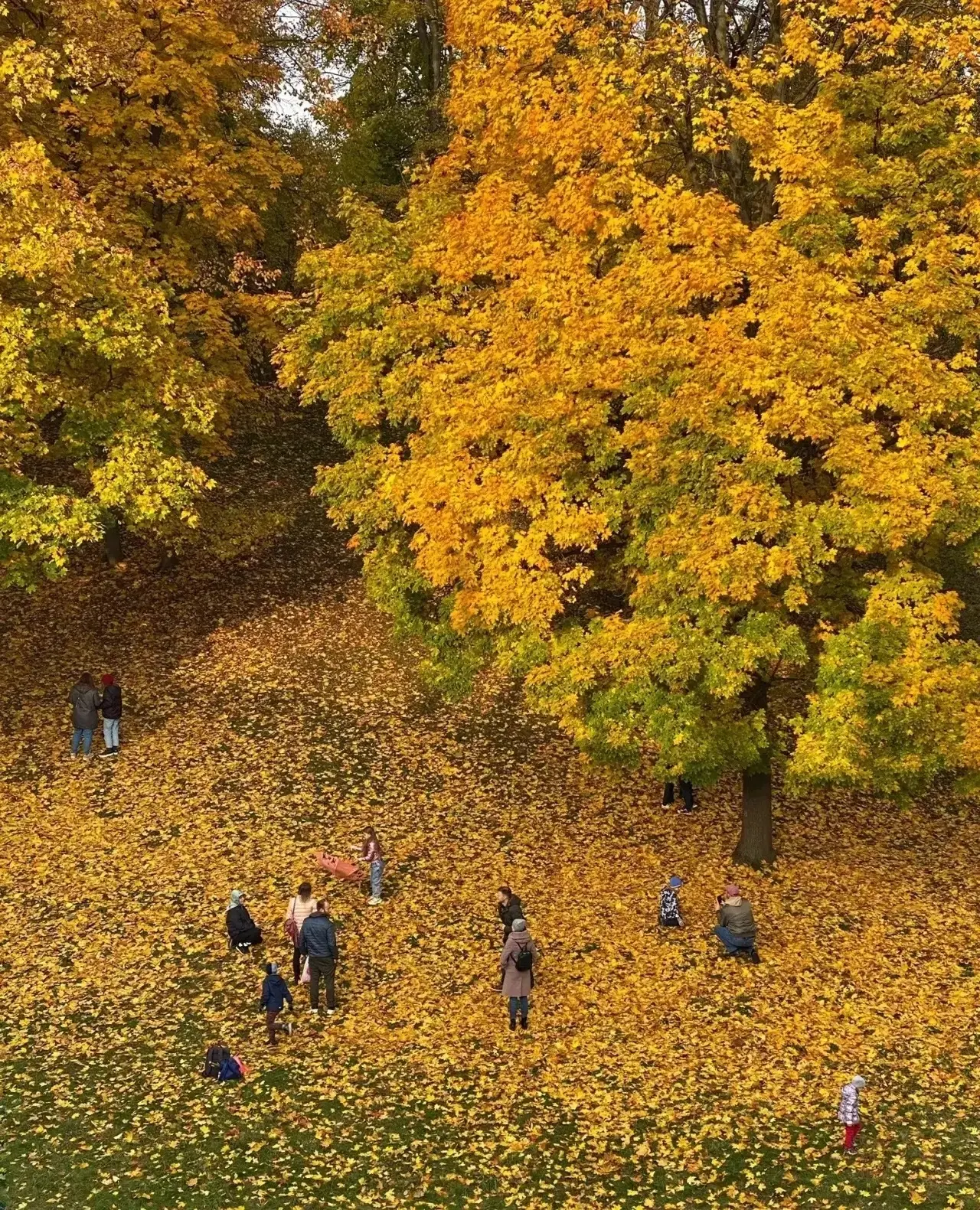 Золотая осень в Царицыно