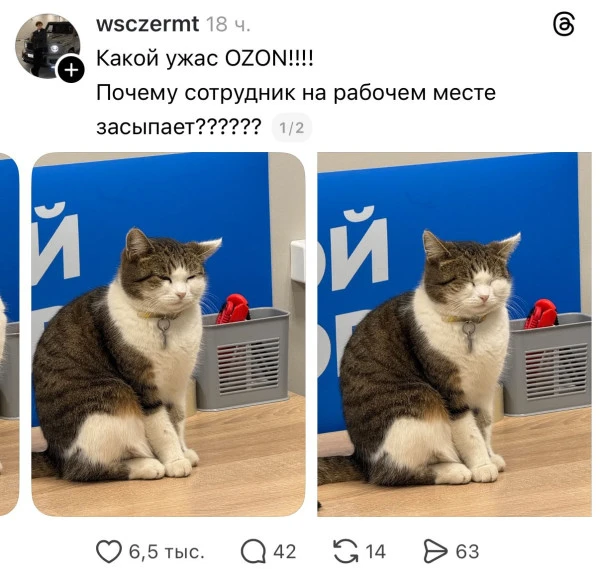 Так, ОЗОН, этого сотрудника к нам на переобучение. Срочно!